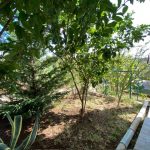 photo 2024 09 13 15 41 02(1)