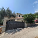 photo 2024 11 27 20 35 51(13)