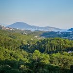 photo 2024 11 30 21 40 09(1)