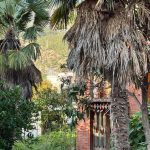 photo 2024 11 06 09 02 00(3)