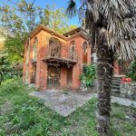 photo 2024 11 06 09 02 00(5)