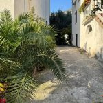 photo 2024 11 06 09 02 00(6)