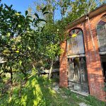 photo 2024 11 06 09 02 00(8)