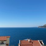 photo 2025 03 03 15 07 44(1)