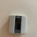 photo 2025 03 03 15 35 27(1)