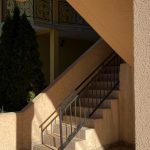 photo 2025 03 03 15 36 22(1)