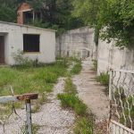 photo 2025 03 15 14 48 17(1)