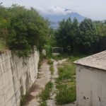 photo 2025 03 15 14 48 17(10)