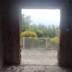 photo 2025 03 15 14 48 17(11)