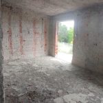 photo 2025 03 15 14 48 17(12)