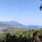 photo 2025 03 15 14 48 17(13)