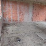 photo 2025 03 15 14 48 17(14)