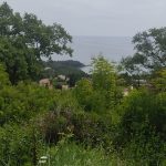 photo 2025 03 15 14 48 17(17)