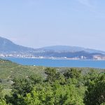 photo 2025 03 15 14 48 17(2)