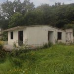 photo 2025 03 15 14 48 17(8)