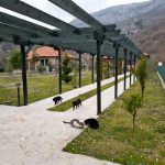 photo 2025 03 15 14 58 07