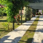 photo 2025 03 15 14 58 07(1)