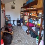 photo 2025 03 15 14 58 09(1)