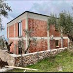 photo 2025 03 24 11 58 14(1)