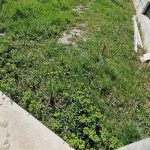 photo 2025 02 04 16 14 44