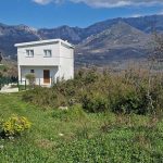 photo 2025 02 04 16 14 44(12)