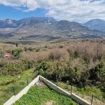 photo 2025 02 04 16 14 44(13)