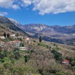 photo 2025 02 04 16 14 44(5)