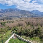 photo 2025 02 04 16 14 44(7)