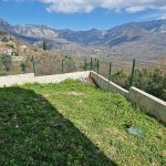 photo 2025 02 04 16 14 44(8)