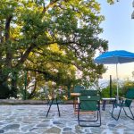 photo 2025 03 19 21 43 22(14)