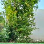 photo 2025 03 19 21 43 22(4)