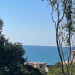 photo 2025 04 30 11 51 23(5)