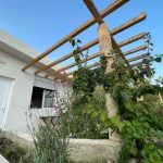 photo 2025 04 30 11 58 21(7)