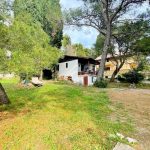 photo 2025 04 30 12 06 20