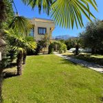 photo 2025 05 01 18 08 40