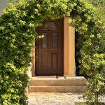 photo 2025 05 01 18 08 40(1)