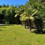 photo 2025 05 01 18 08 41