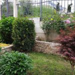 photo 2025 05 13 21 17 07(1)