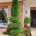 photo 2025 05 13 21 17 07(2)