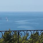 photo 2025 05 13 21 17 08