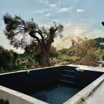 photo 2025 05 30 00 35 28