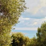 photo 2025 05 30 00 35 28(1)