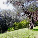 photo 2025 05 30 00 35 28(4)