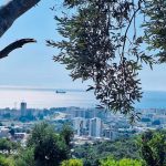 photo 2025 05 30 00 35 28(5)