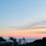 photo 2025 05 30 00 35 28(6)