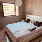 photo 2025 06 01 17 48 11(2)