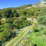 photo 2025 06 01 17 48 12(6)