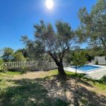 photo 2025 06 05 12 44 22(2)