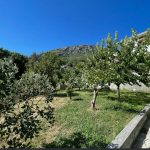 photo 2025 06 05 12 44 22(7)