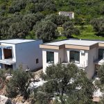 photo 2025 06 17 21 11 52(1)